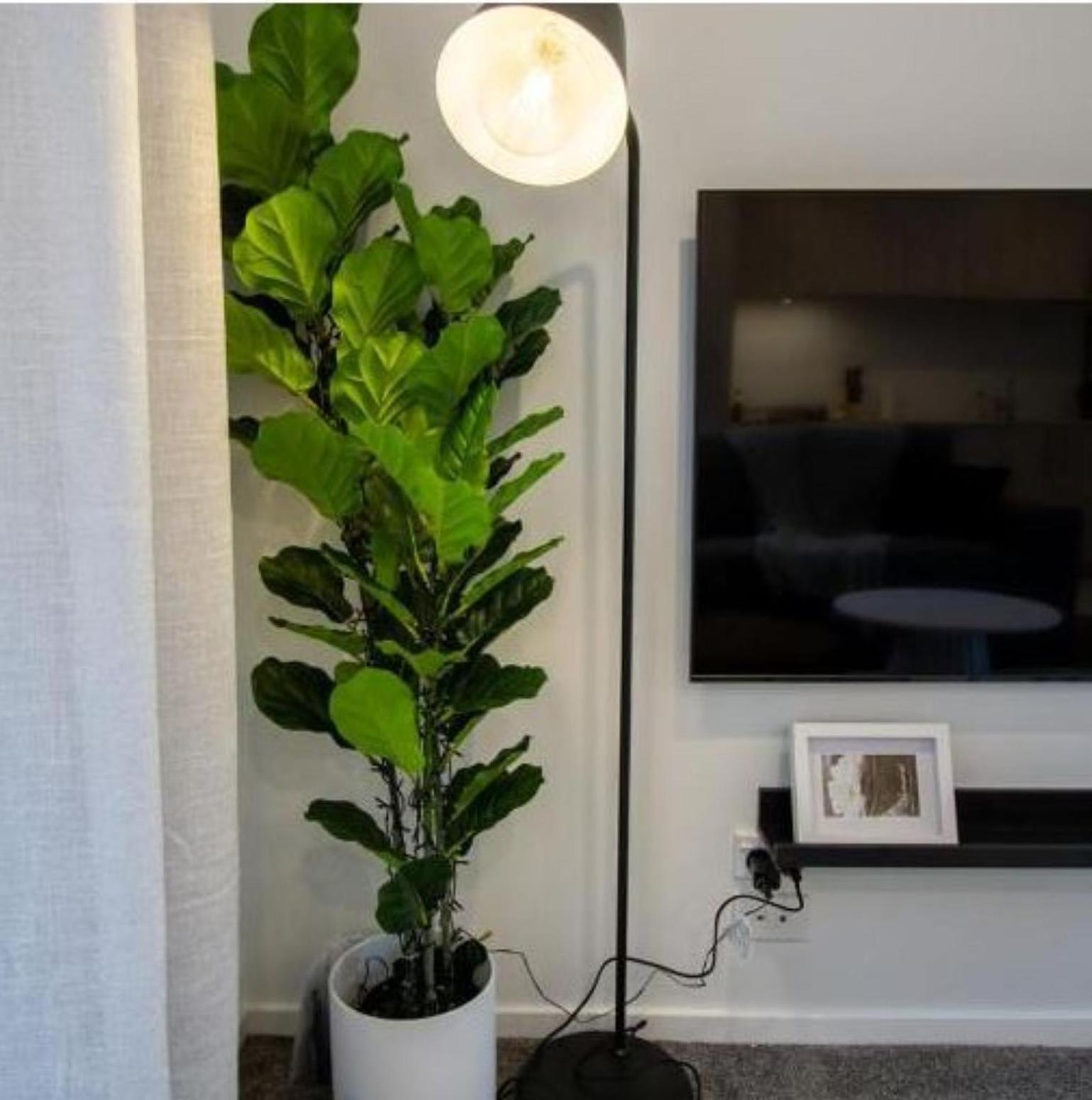 A Touch Of Luxury In Chch Cbd Apartment Крайстчърч Екстериор снимка